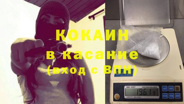 прущие грибы Армянск
