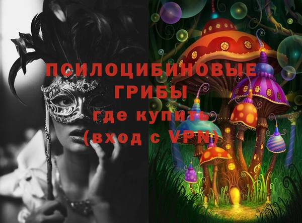 прущие грибы Армянск