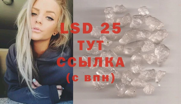 прущие грибы Армянск