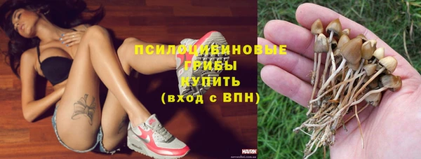 прущие грибы Армянск