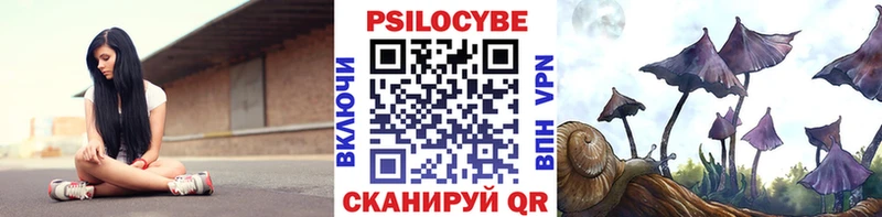 Псилоцибиновые грибы Magic Shrooms  как найти закладки  Сосенский 